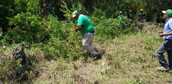 La Dirección de Embellecimiento prepara área para construir Parque Ecológico de la Ciudad Juan Bosch