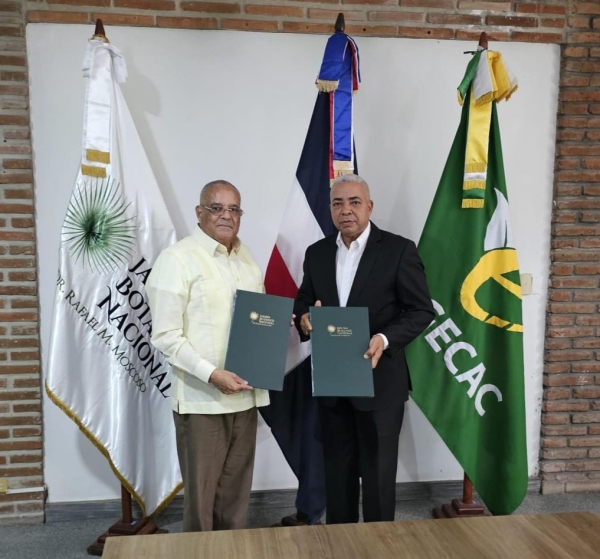 Carta de categoria